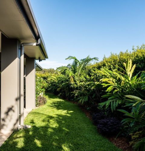 Lush tropical garden
