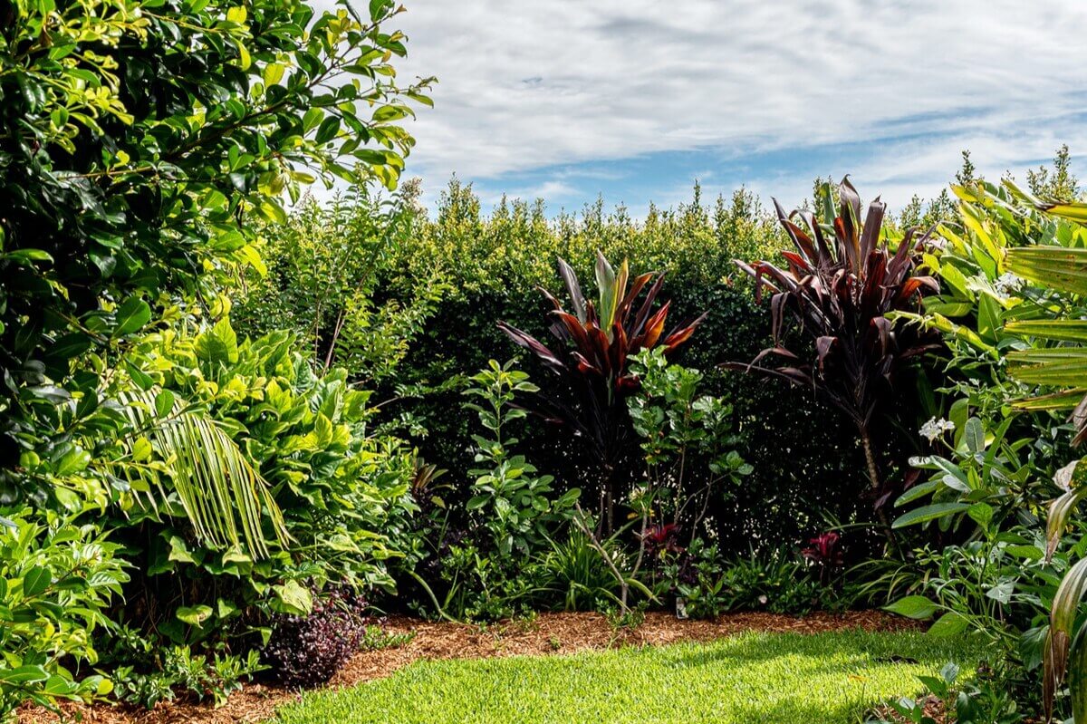 Lush tropical garden detail